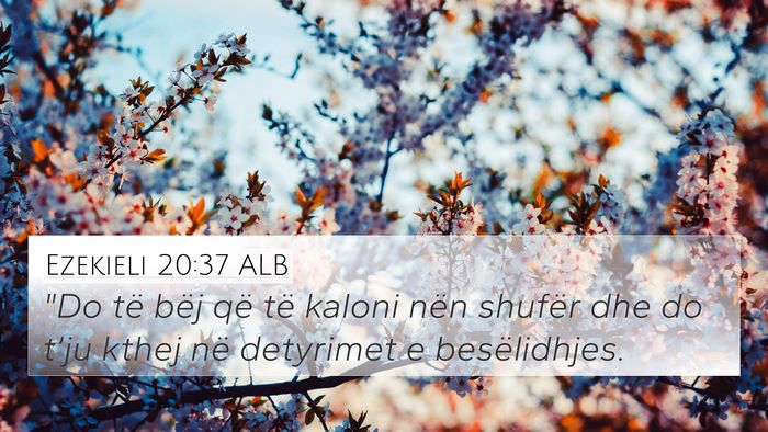 Ezekieli 20:37 ALB Bible Verse Image