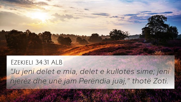 Ezekieli 34:31 ALB Bible Verse Image