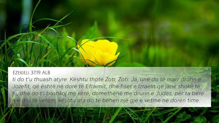 Ezekieli 37:19 ALB Bible Verse Image