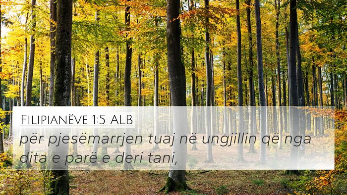 Filipianëve 1:5 ALB Bible Verse Image