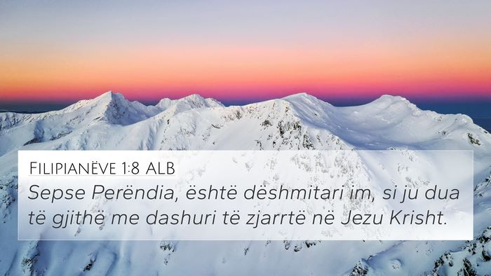 Filipianëve 1:8 ALB Bible Verse Image