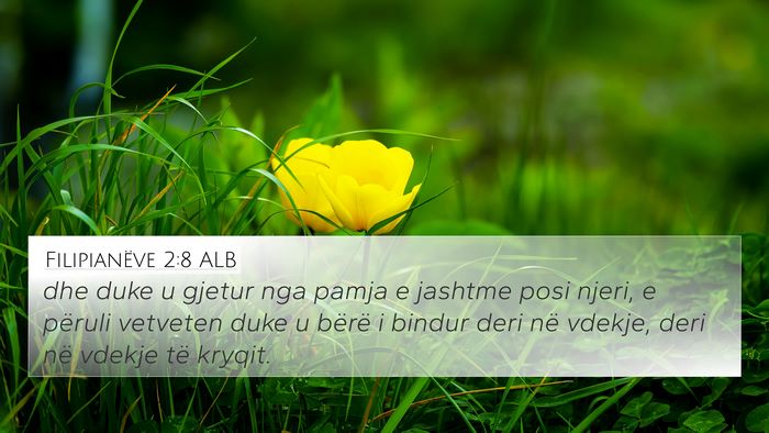 Filipianëve 2:8 ALB Bible Verse Image