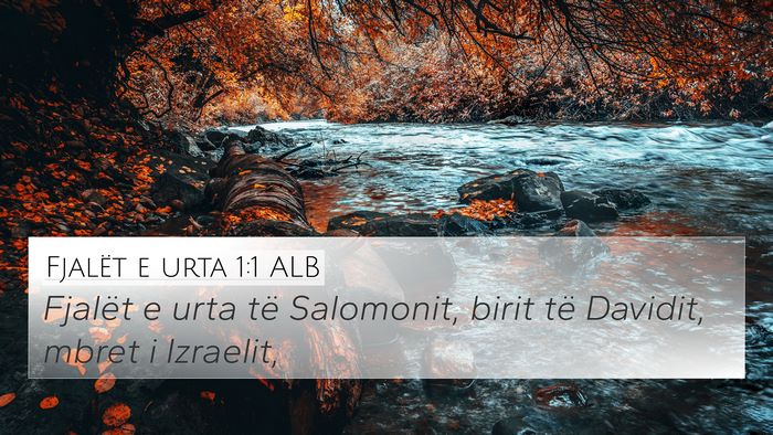 Fjalët e urta 1:1 ALB 4K Wallpaper - Fjalët e urta të Salomonit, birit të Davidit, - 4K Wallpaper Bible Verse