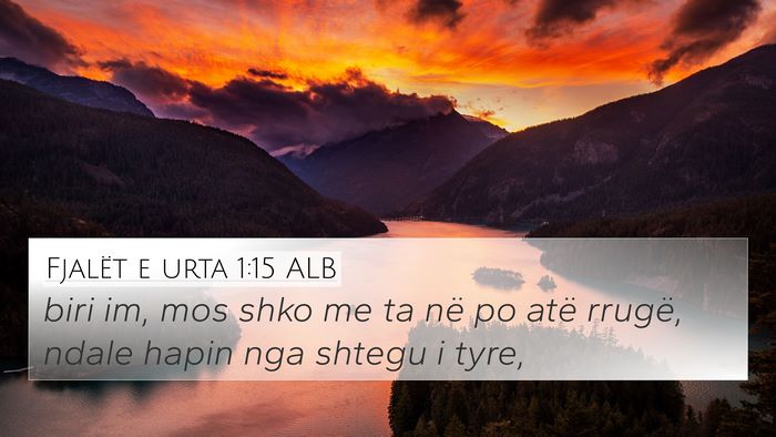 Fjalët e urta 1:15 ALB Bible Verse Image