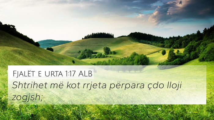 Fjalët e urta 1:17 ALB Bible Verse Image