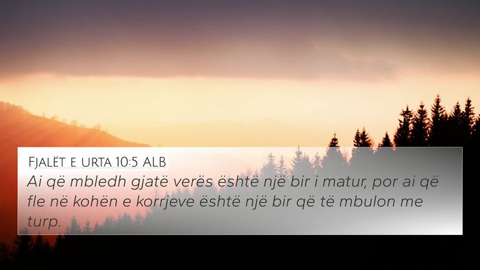 Fjalët e urta 10:5 ALB Bible Verse Image