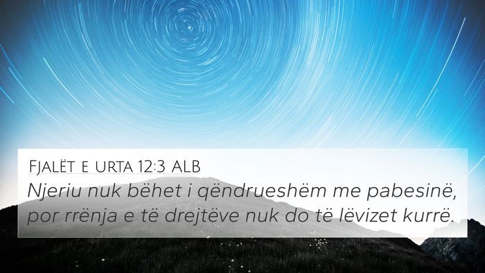 Fjalët e urta 12:3 ALB 4K Wallpaper - Njeriu nuk bëhet i qëndrueshëm me pabesinë, - 4K Wallpaper Bible Verse