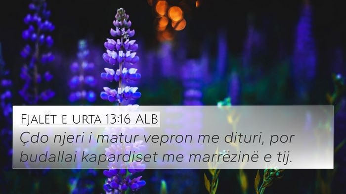 Fjalët e urta 13:16 ALB Bible Verse Image