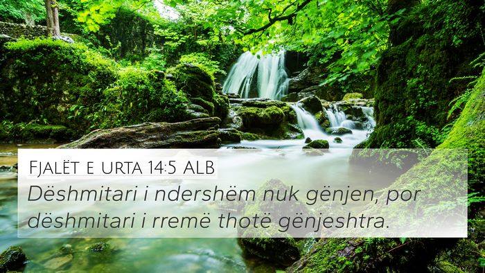 Fjalët e urta 14:5 ALB Bible Verse Image