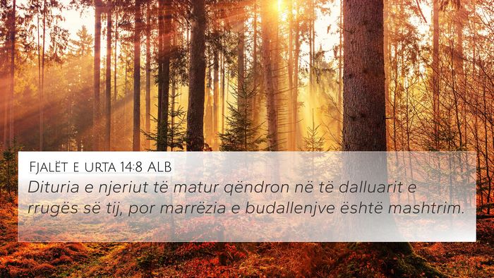 Fjalët e urta 14:8 ALB Bible Verse Image