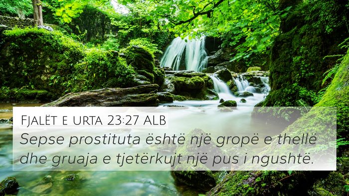 Fjalët e urta 23:27 ALB Bible Verse Image