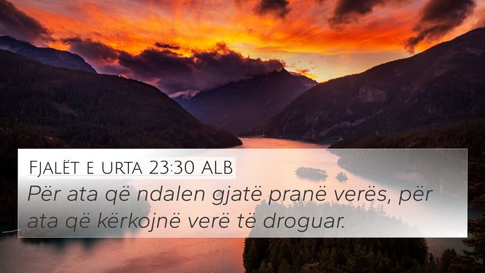 Fjalët e urta 23:30 ALB Bible Verse Image