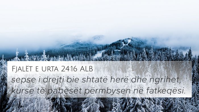 Fjalët e urta 24:16 ALB Bible Verse Image