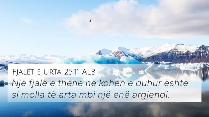 Fjalët e urta 25:11 ALB Bible Verse Image