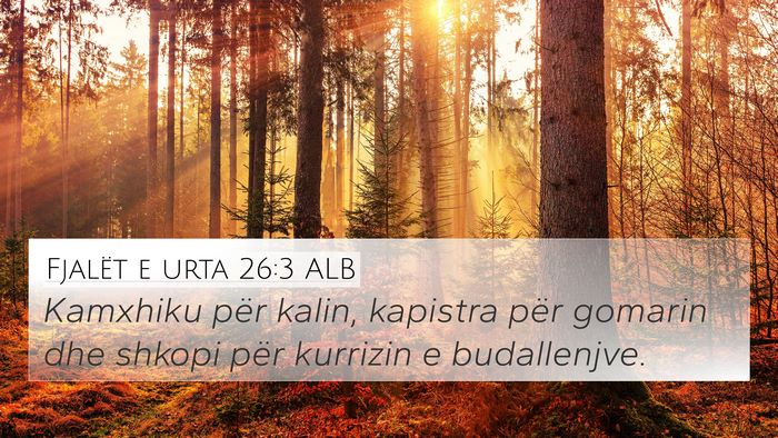 Fjalët e urta 26:3 ALB Bible Verse Image