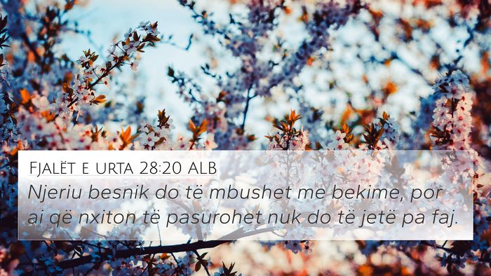 Fjalët e urta 28:20 ALB Bible Verse Image