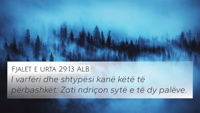 Fjalët e urta 29:13 ALB Bible Verse Image