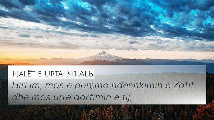 Fjalët e urta 3:11 ALB Bible Verse Image