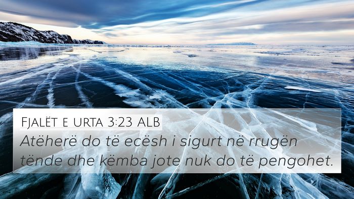 Fjalët e urta 3:23 ALB Bible Verse Image