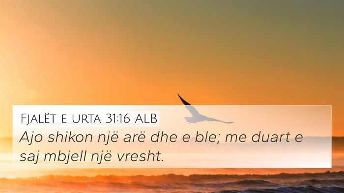 Fjalët e urta 31:16 ALB 4K Wallpaper - Ajo shikon një arë dhe e ble; me duart e saj - 4K Wallpaper Bible Verse