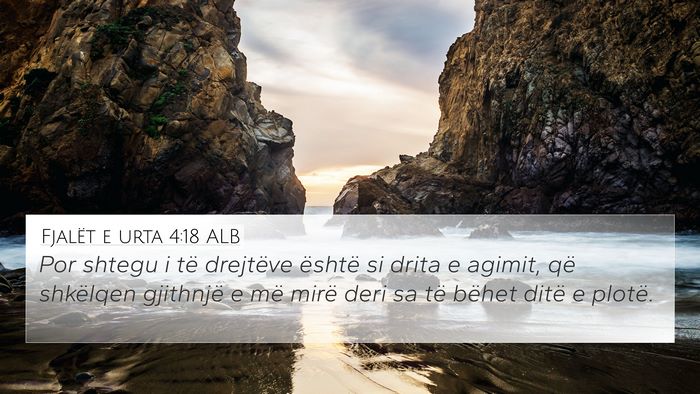 Fjalët e urta 4:18 ALB Bible Verse Image