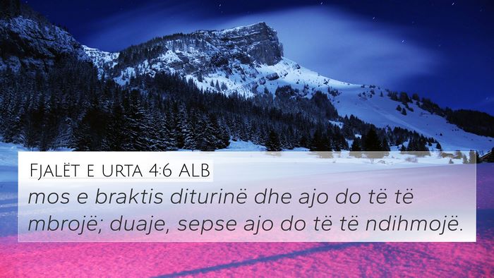 Fjalët e urta 4:6 ALB Bible Verse Image