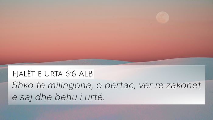 Fjalët e urta 6:6 ALB Bible Verse Image