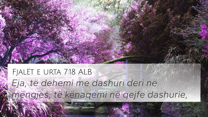 Fjalët e urta 7:18 ALB 4K Wallpaper - Eja, të dehemi me dashuri deri në mëngjes, të - 4K Wallpaper Bible Verse