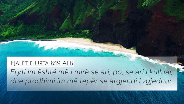 Fjalët e urta 8:19 ALB Bible Verse Image