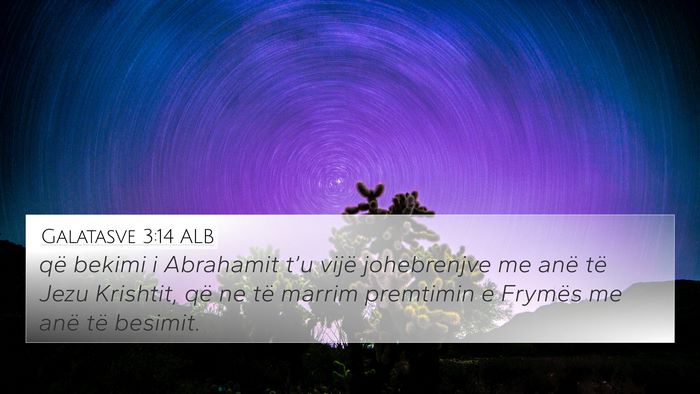 Galatasve 3:14 ALB Bible Verse Image
