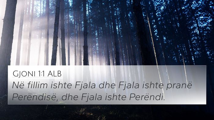 Gjoni 1:1 ALB 4K Wallpaper - Në fillim ishte Fjala dhe Fjala ishte pranë - 4K Wallpaper Bible Verse