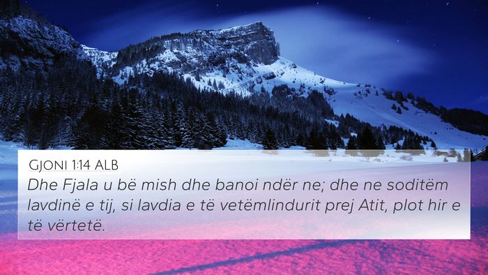Gjoni 1:14 ALB Bible Verse Image