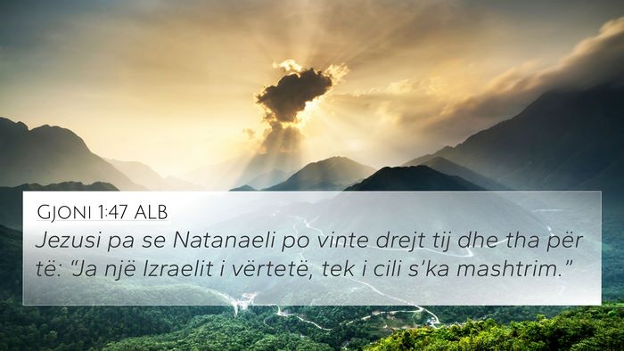 Gjoni 1:47 ALB Bible Verse Image
