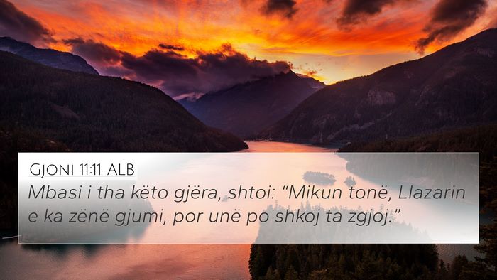 Gjoni 11:11 ALB Bible Verse Image