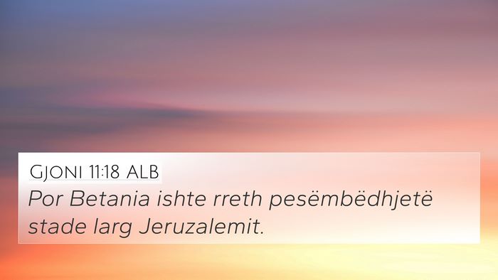 Gjoni 11:18 ALB Bible Verse Image