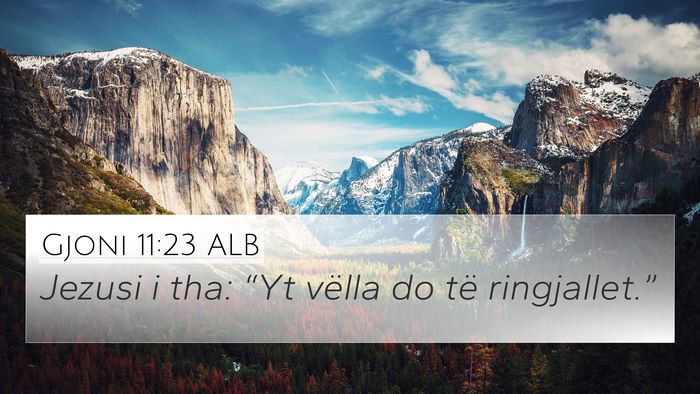 Gjoni 11:23 ALB Bible Verse Image