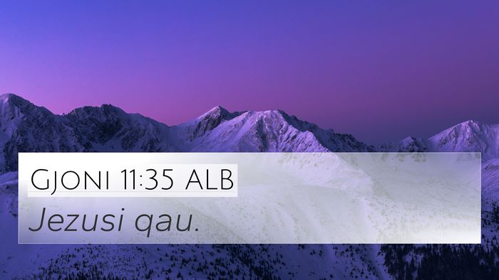 Gjoni 11:35 ALB Bible Verse Image