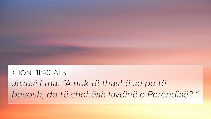 Gjoni 11:40 ALB Bible Verse Image