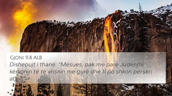 Gjoni 11:8 ALB Bible Verse Image