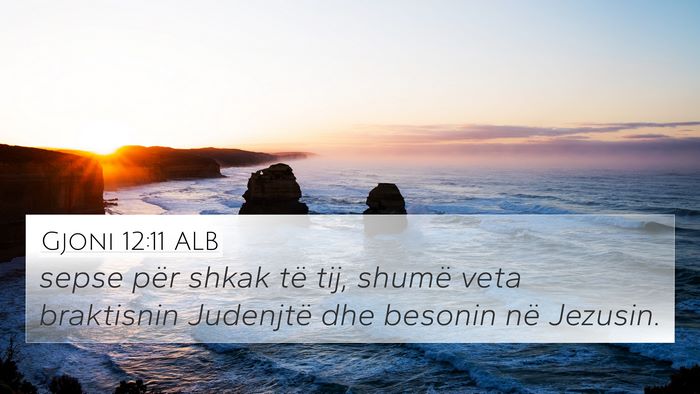 Gjoni 12:11 ALB Bible Verse Image