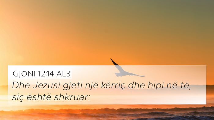 Gjoni 12:14 ALB 4K Wallpaper - Dhe Jezusi gjeti një kërriç dhe hipi në të, - 4K Wallpaper Bible Verse