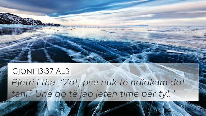 Gjoni 13:37 ALB Bible Verse Image