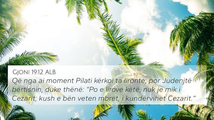 Gjoni 19:12 ALB Bible Verse Image