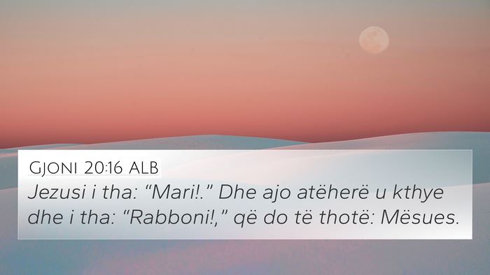 Gjoni 20:16 ALB Bible Verse Image