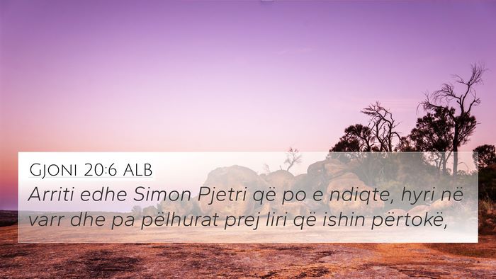 Gjoni 20:6 ALB Bible Verse Image