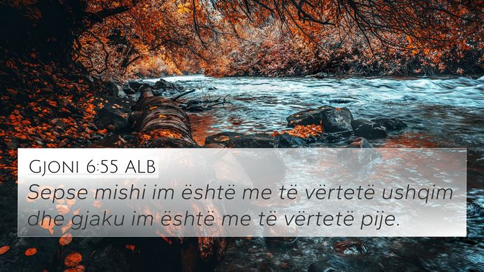 Gjoni 6:55 ALB Bible Verse Image