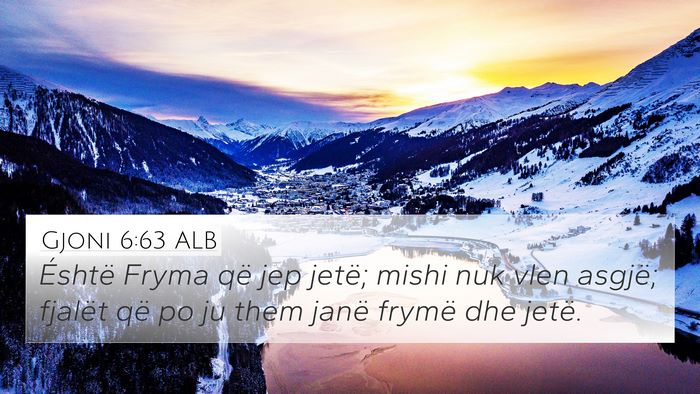 Gjoni 6:63 ALB Bible Verse Image