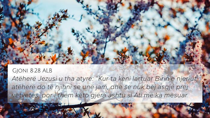 Gjoni 8:28 ALB Bible Verse Image