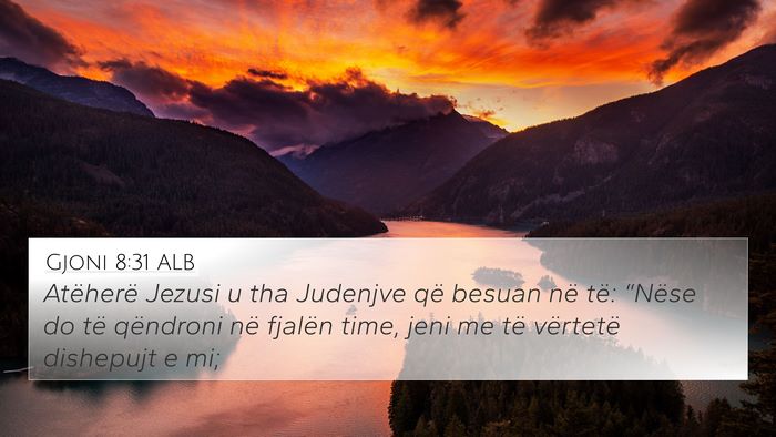 Gjoni 8:31 ALB Bible Verse Image