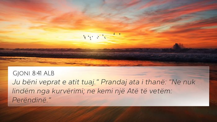 Gjoni 8:41 ALB Bible Verse Image
